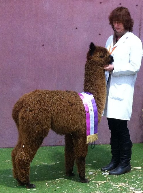 Glenavon Rhanna
