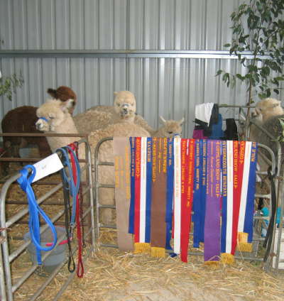 Sale Show 2005