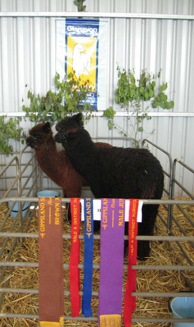 Sale Show 2006